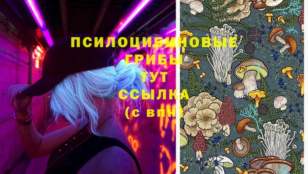 jwh Абинск